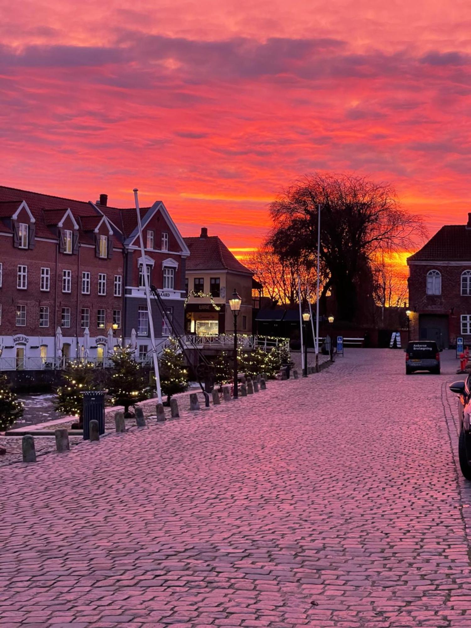 Bed and Breakfast Restaurant Saelhunden Ribe Exterior foto